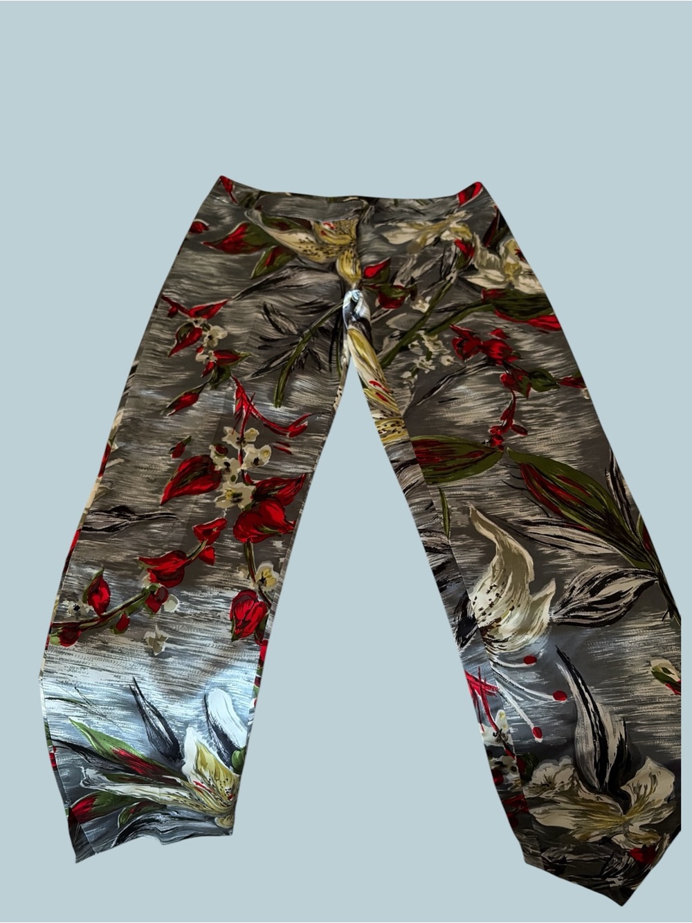 Dolce & Gabbana Floral Skinny Pants in Gray, Red & Cream